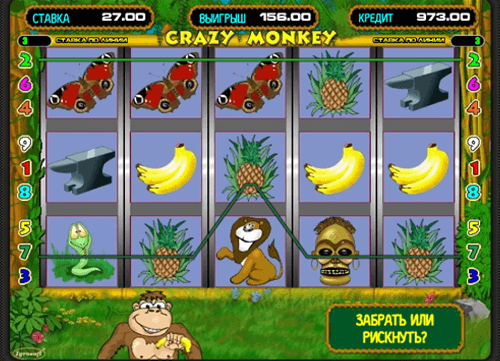 Изображение автомата Crazy Monkey